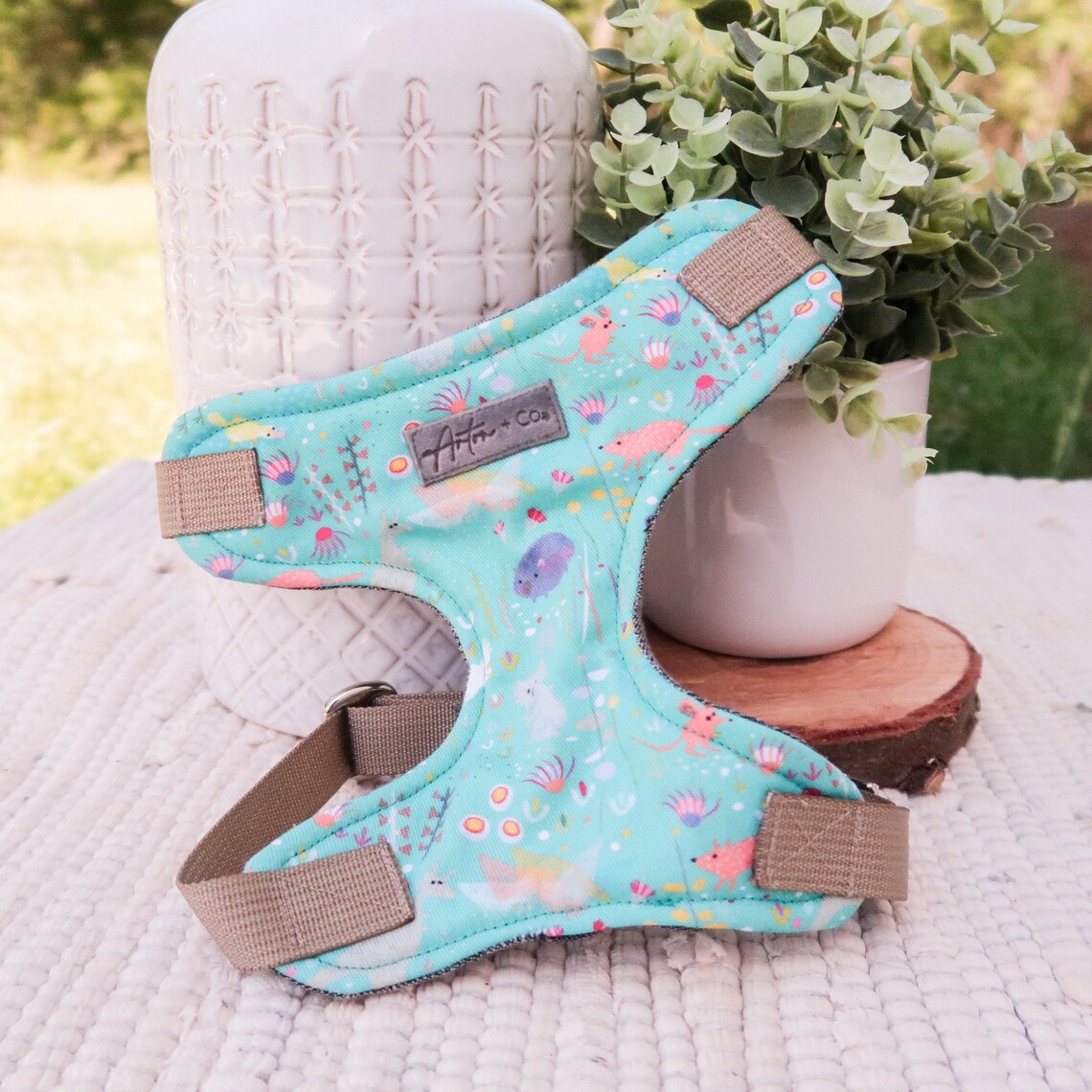 Australia Dog Harnessfemale Dog Harnessmale Dog Harnessblue Etsy