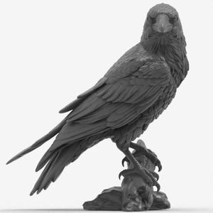 Archivo STL de cuervo, modelo 3D de cuervo realista, escultura de ave gótica, decoración de fantasía oscura, descarga STL para impresión en resina para creadores. imagen 6