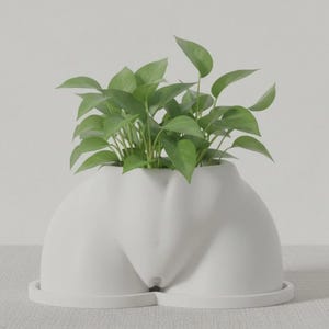 May include: A matte white ceramic planter shaped like a human torso, featuring a smooth, contoured design. The planter holds a vibrant green pothos plant with multiple heart-shaped leaves extending upwards from the central opening.