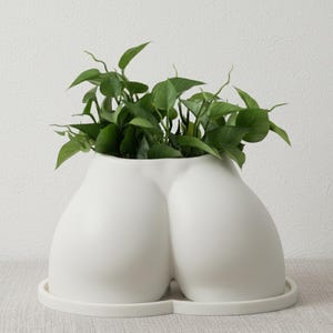File di fioriera Cheeky Booty / Modello di vaso per fiori con sedere NSFW stl 3D / Porta piante grasse con corpo sexy e vassoio di drenaggio / Fioriera divertente alla moda