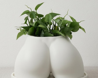 Könnte beinhalten: Ein weißer Keramik-Blumentopf in Form eines Gesäßes, der eine leuchtend grüne Pflanze enthält. Der Topf steht auf einer passenden weißen Untertasse. Die Pflanze hat viele grüne Blätter und Stiele.