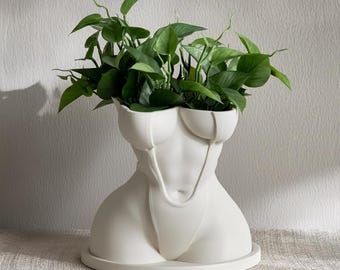 Könnte beinhalten: Ein weißer Keramik-Blumentopf in Form eines Torsos, mit rundem Sockel und detaillierter Büste. Der Topf ist mit grünen Blättern gefüllt. Das Design ist eine moderne Interpretation einer klassischen Form.
