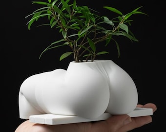 Butt Planter STL File | Kneeling Body Flower Pot | Curvy Legs Succulent Holder | Modern 3D Printer Model | NSFW STL Digital Download