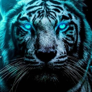 100% Accuracy - Check for Black Magic, Evil Spirits and Spiritual Disturbances