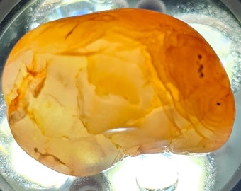 May include: A smooth, orange and white agate stone with a natural, organic shape. The stone has a translucent quality and shows intricate patterns of color.