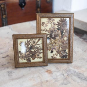 Op de afbeelding: Twee houten lijsten met geperste bloemenkunstwerken. Eén is vierkant, de andere rechthoekig. De lijsten zijn middellbruin van kleur. De geperste bloemen zijn in verschillende bruin- en beigetinten, tegen een crèmekleurige achtergrond.