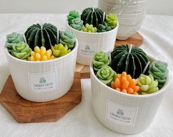 The Succulent Pot Candle. A Perfect Decor Item for All Succulent, Cactus, Plant Lovers