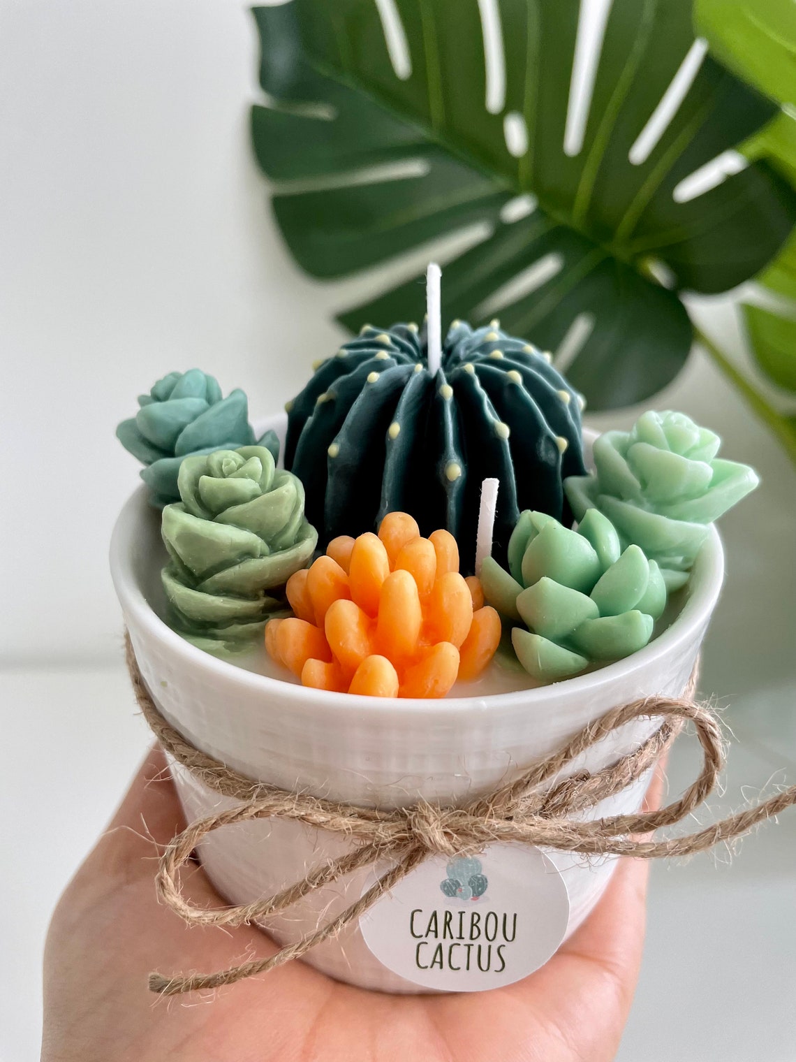 The Succulent Pot Candle. A Perfect Decor Item for All Etsy
