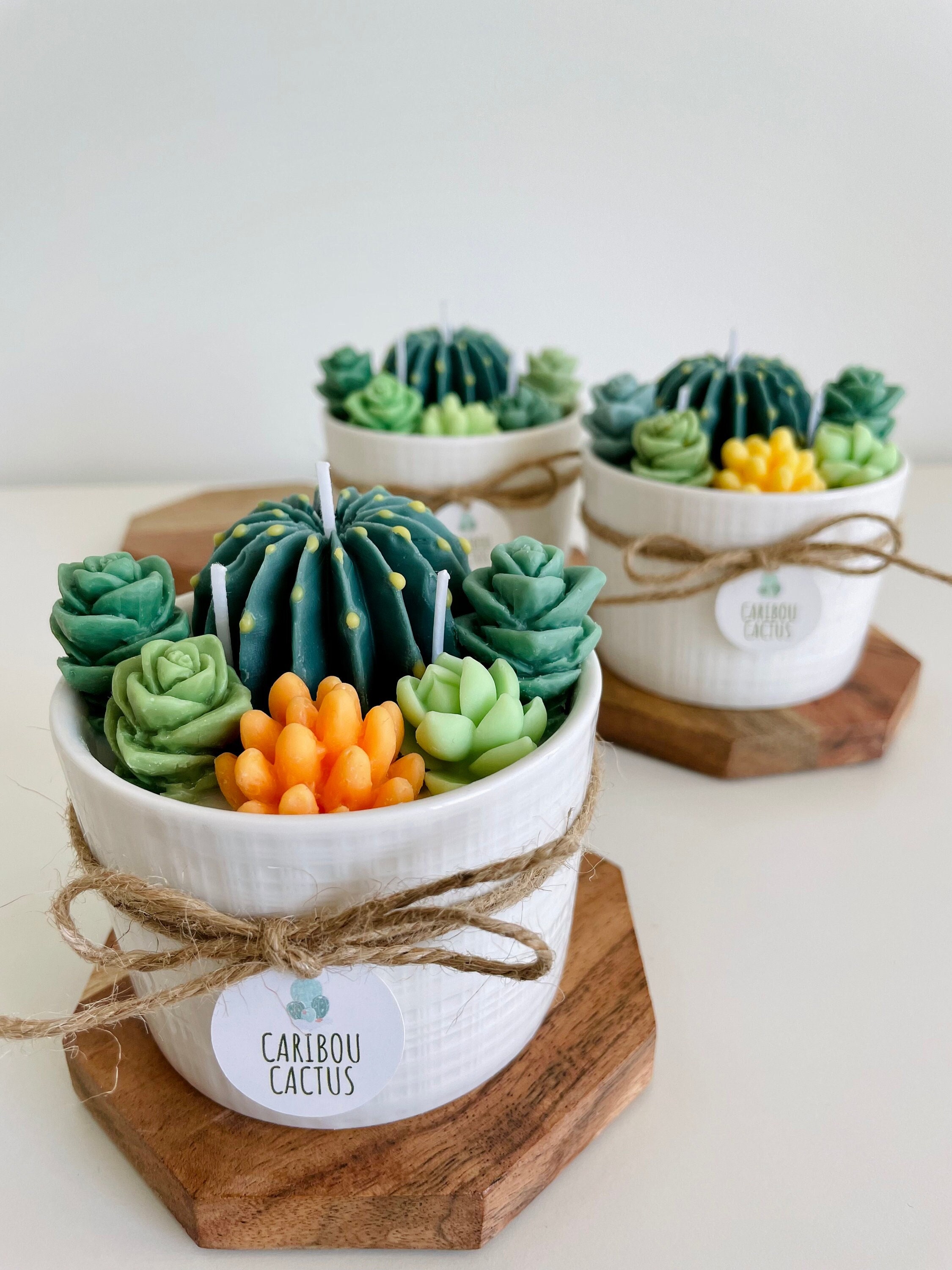 The Succulent Pot Candle. A Perfect Decor Item for All Etsy