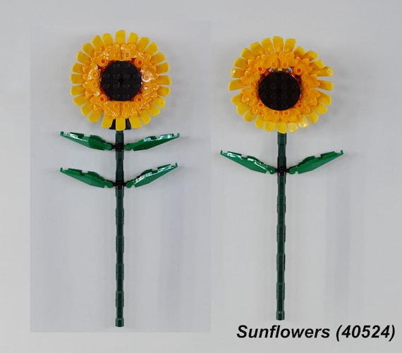 Supports muraux pour fleurs LEGO® Bouquet de fleurs LEGO® 10280