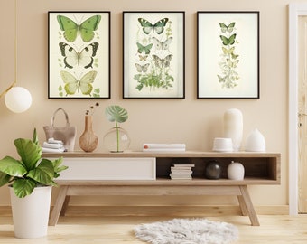 3+ Vintage Green Butterfly ART PRINT BUNDLE, Digital download artwork, vintage green butterfly art
