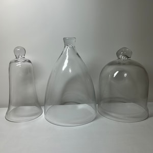 Glass Cloche Dome (Pick one) by Lynnleescreations
