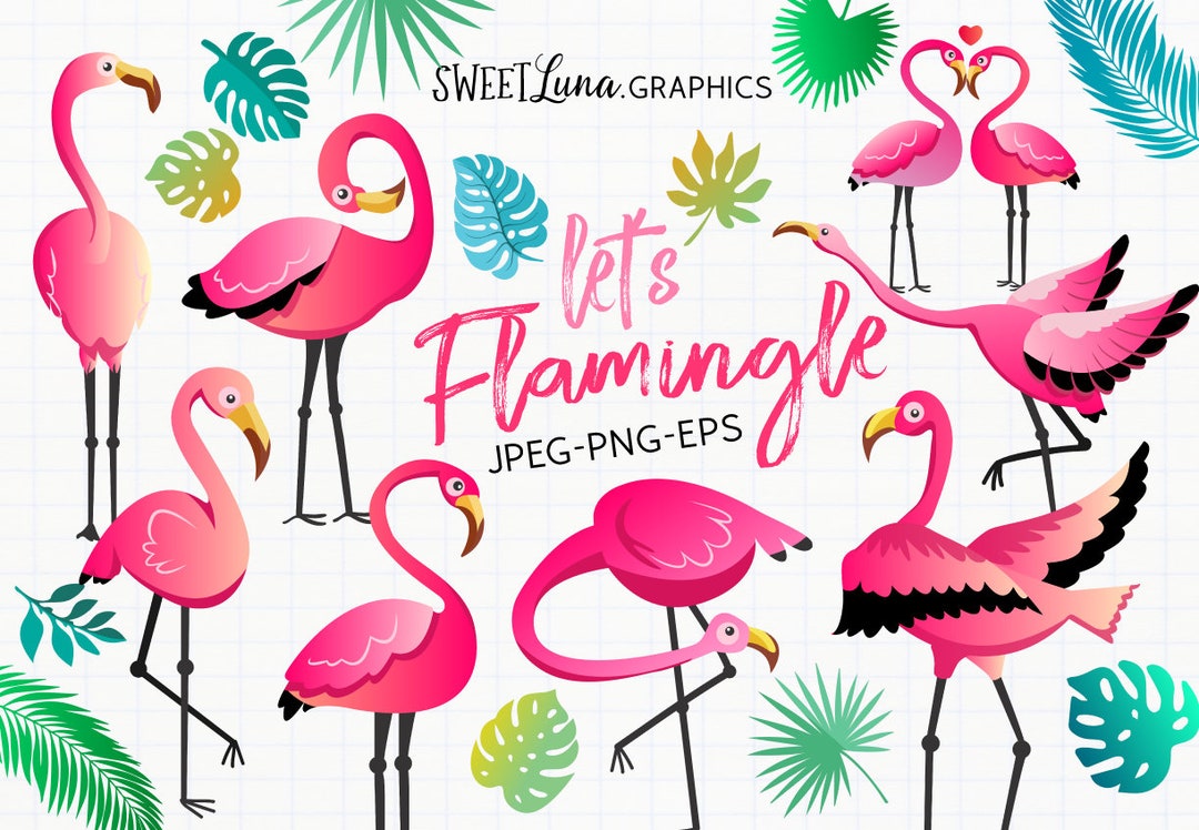 Flamingo Clipart COMMERCIAL Use Let's Flamingle - Etsy