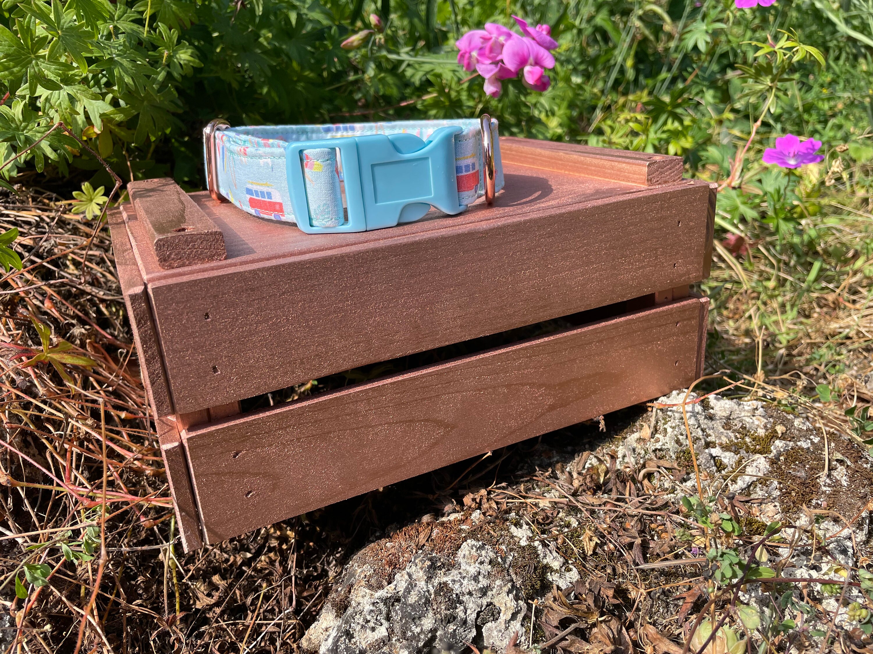 Collier Pour Chien Réglable Cool Summer