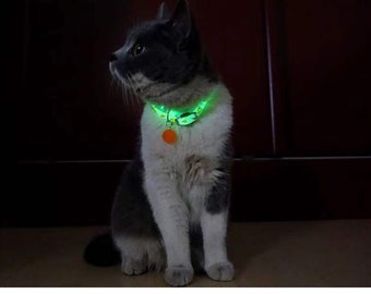 luminous cat collar