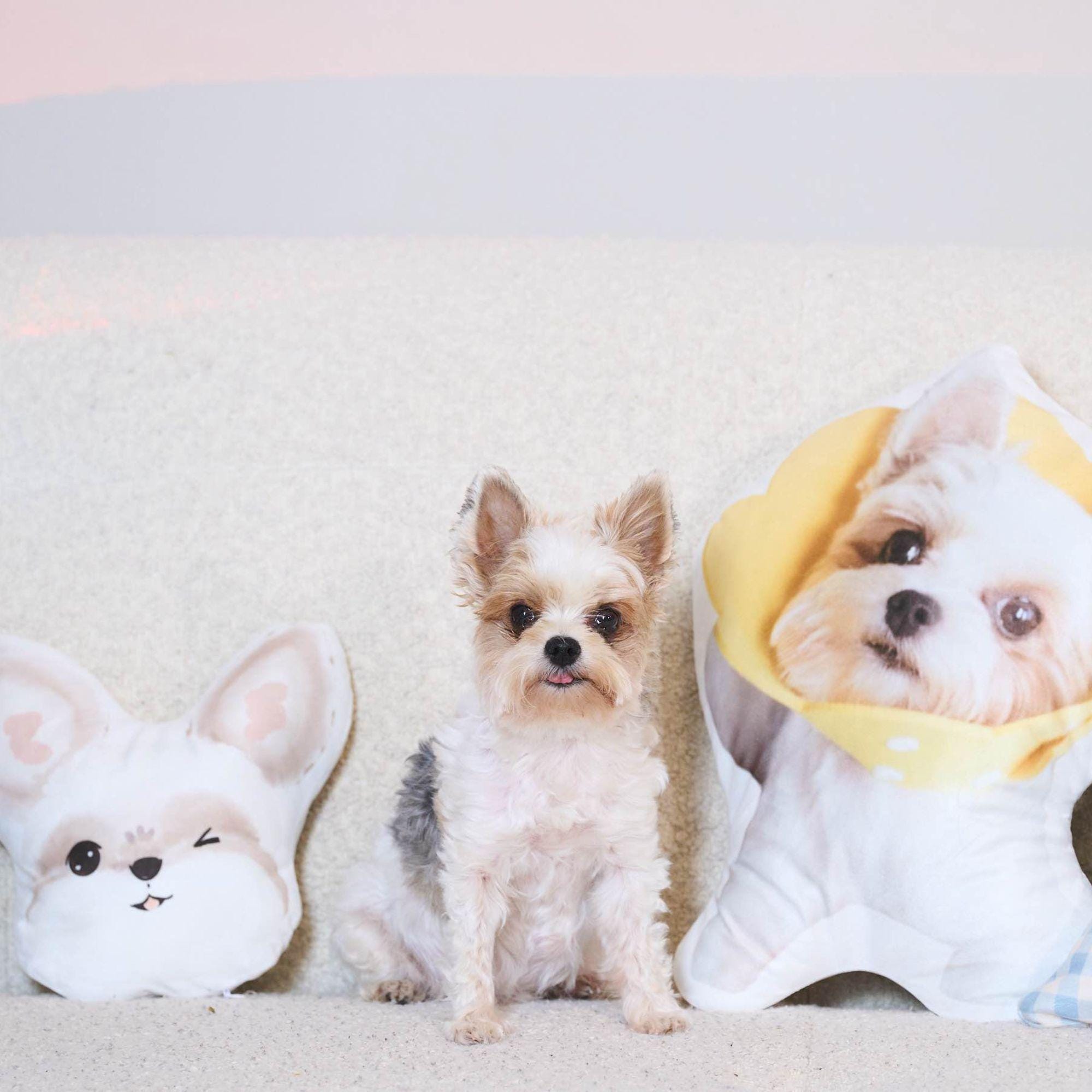 Personalisierte Plüsch Kissen-Soft Haustier Kissen, Hund Gedenk Kissen, Katze Süß Kissen, Cartoon Kissen, Geschenk für Tochter, Krankenhaus Kissen