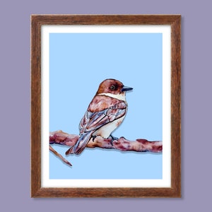 WATERCOLOR BIRD PRINT/Bird Painting/Eastern Phoebe art/Livingroom Décor/Art print/Gallery wall prints/Gift for bird lover