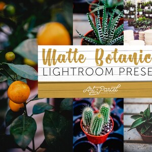 Matte Botanical Lightroom Presets