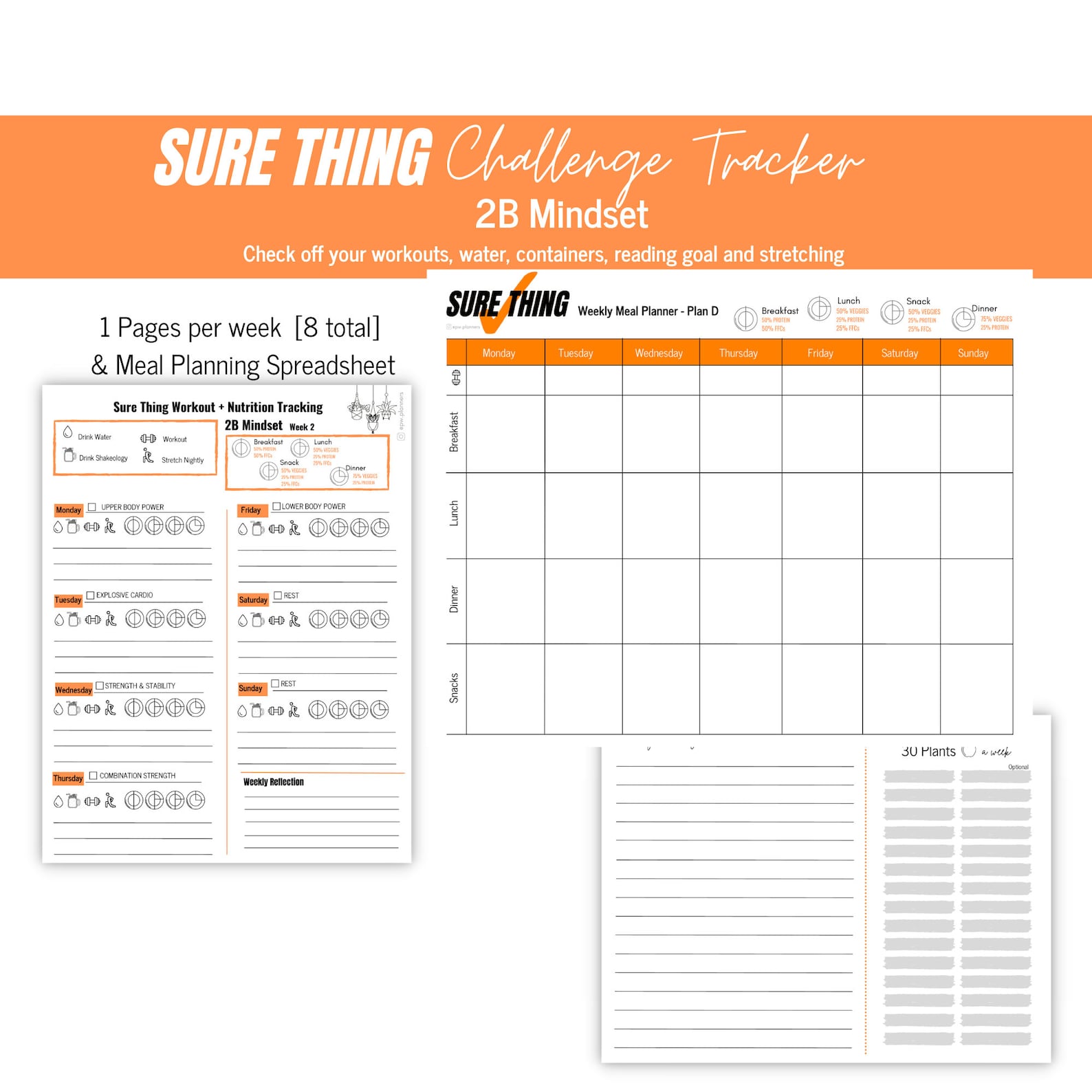 Sure Thing 2B Mindset Challenge Tracker Etsy