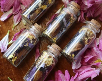 Wayfinder Butterfly Wing Charm Jars