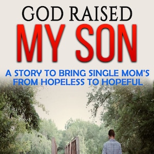 Dios crió a mi hijo: una historia para llevar a las madres solteras de desesperadas a esperanzadas, madre soltera, regalo de madre soltera, libro de madre soltera, crianza de los hijos
