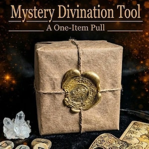 Mystery Divination Tool • Witchy Altar Supplies • Norse Pagan Gift • Occult Mystery Box