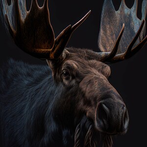 Moose Poster - Digitally Created Art