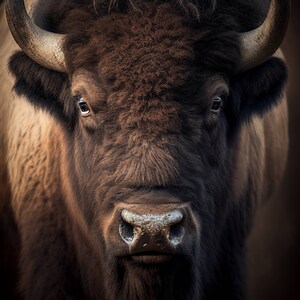 Bison Poster - Digitally Created Art