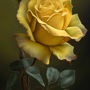 May include: A single yellow rose with green leaves and buds. The rose is in full bloom and has a soft, velvety texture.
