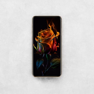 May include: A smartphone displaying a close-up image of a single rose with orange and red petals, set against a black background. The rose appears to be on fire.