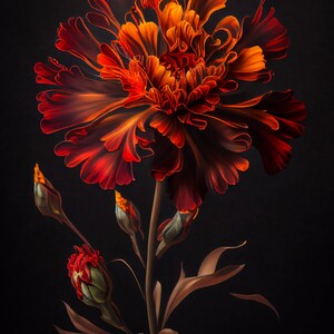 Flame Red Marigold - Digital Art