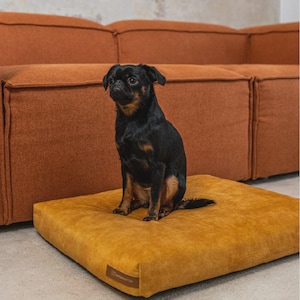 Coperta Da Viaggio Pieghevole Per Cani 70x50 Cm, Morbida E Lavabile, Ideale Per Divano, Auto E Outdoor