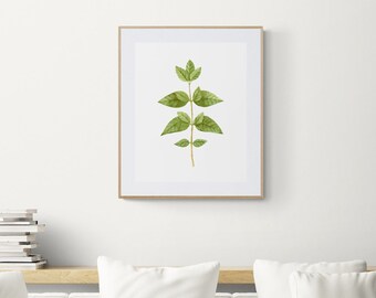 Watercolor Painting Set of Three Plants Wall Art Watercolor Print Design Living Room Kitchen Decor Wall Art Clipart Instant Download