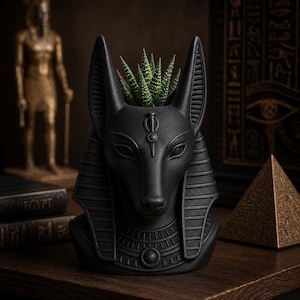 May include: A matte black planter shaped like the head of the Egyptian deity Anubis, featuring tall pointed ears, a detailed nemes headdress, and a collar design. A small green succulent plant is growing out of the top of the head.