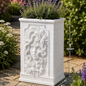 Può includere: Un vaso rettangolare bianco con un bassorilievo di un volto circondato da serpenti e fiori sul pannello frontale. Il vaso presenta una texture a mattoni, un bordo a greca alla base e misura 22,86 cm di altezza, 15,24 cm di larghezza e 15,24 cm di profondità.