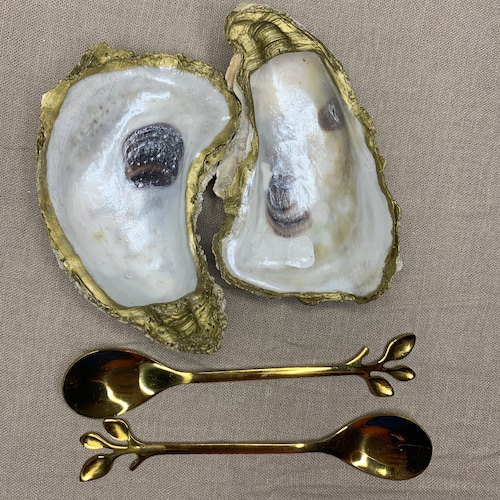 Decoupage Oyster Salt & Pepper Etsy