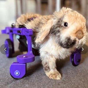 Rabbitroamer V2 Prototype - Etsy