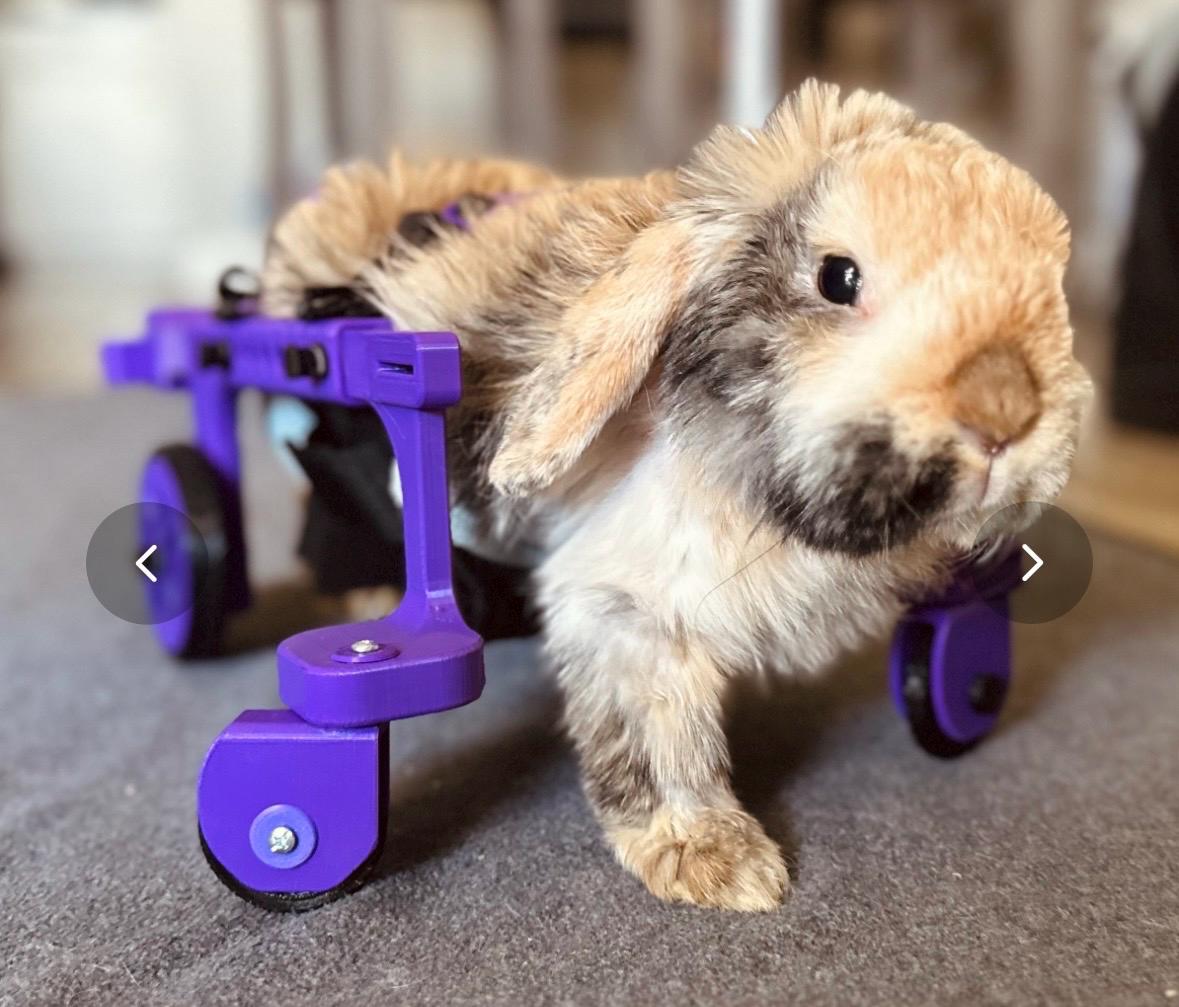 Remesher Rabbit Rabbitroamer V2 Prototype - Etsy