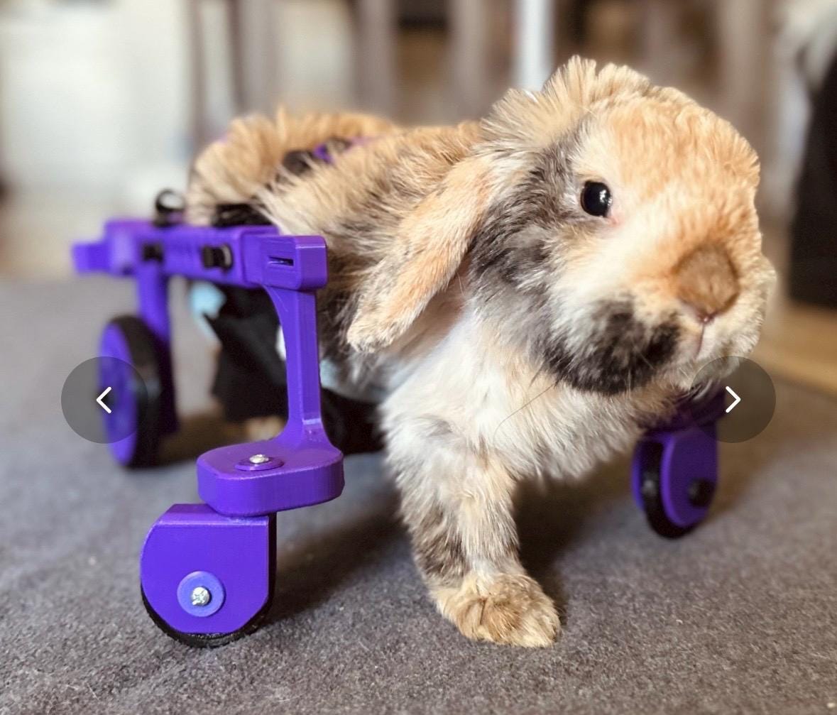 OS Rabbitroamer V2 Prototype (OVERSEAS LISTING) - Etsy