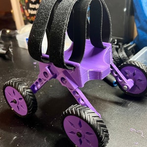Puppy training wheelchair.