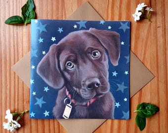 Chocolate Labrador Puppy with stars Greetings card
