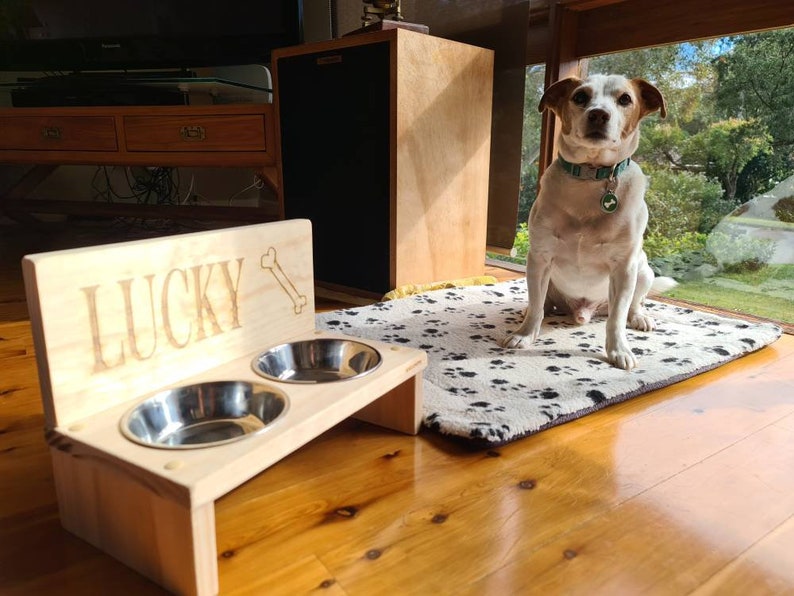 12+ Amazing Dog Bowls for Australians