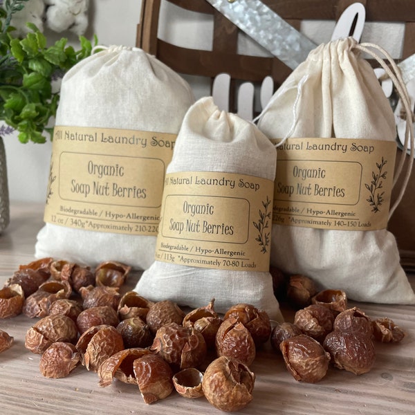 Organic Soap Nut Berries/All Natural Laundry Soap/Natural Shampoo/Biodegradable/compostable/Zero Waste