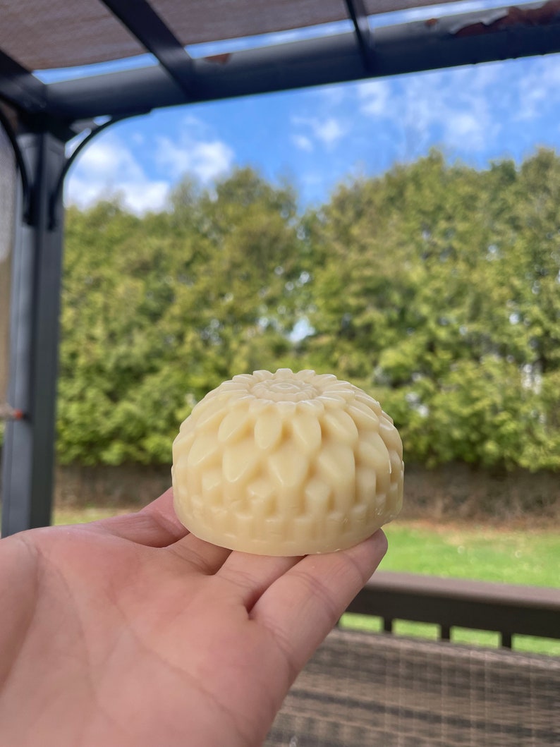 Soap Nut Shampoo Bars/zero Waste/ Organic/vitamin B5 & Silk Protein/castor Oil Etsy