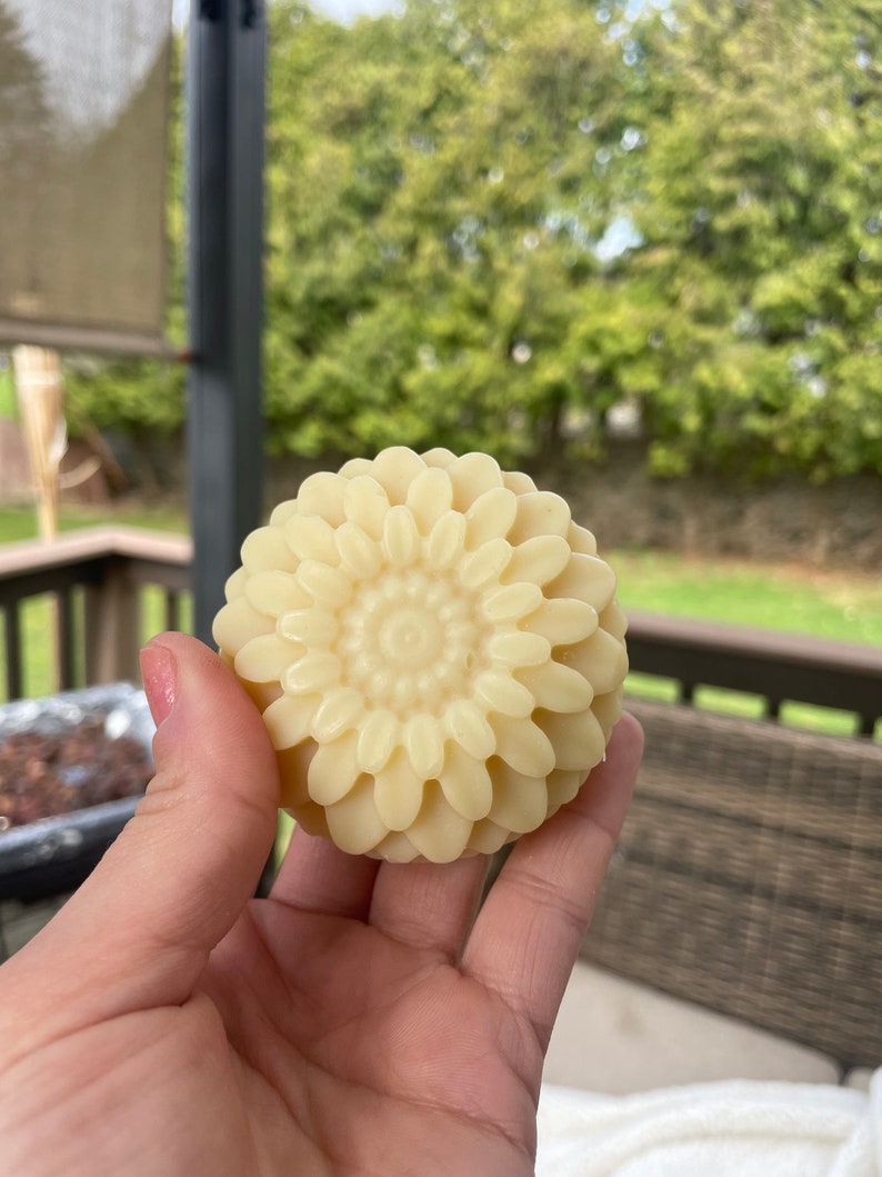 Soap Nut Shampoo Bars/zero Waste/ Organic/vitamin B5 & Silk Protein/castor Oil Etsy