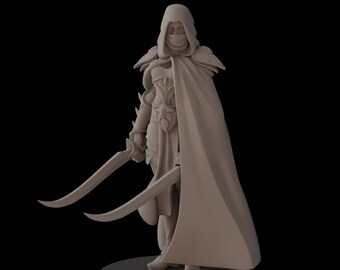 Elf Assassins