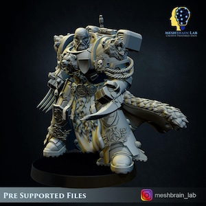 Imperial Marine Meister des Ordens