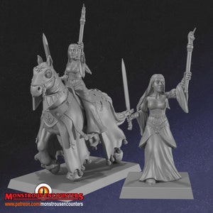 May include: A gray miniature fantasy figure of a woman on horseback, holding a sword, and another standing figure with a sword and staff. The figures are on a rectangular base. The logo "Monstrous Encounters" is visible.