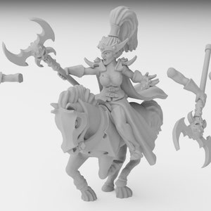 Dark Elf Sorceress&#39;