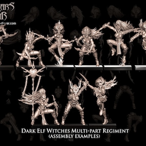 Dark Elf Witches Multi Part Regiment